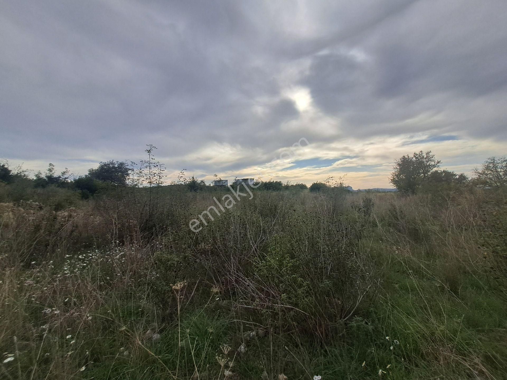 Mana Gat Sırköyü De Satılık Müstakil Tarla - Görsel 5