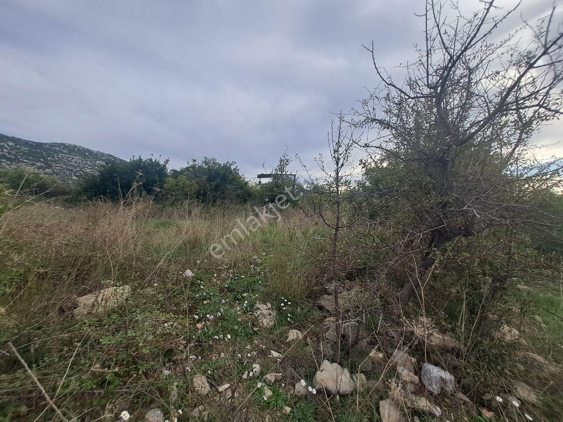 Mana Gat Sırköyü De Satılık Müstakil Tarla - Görsel 16