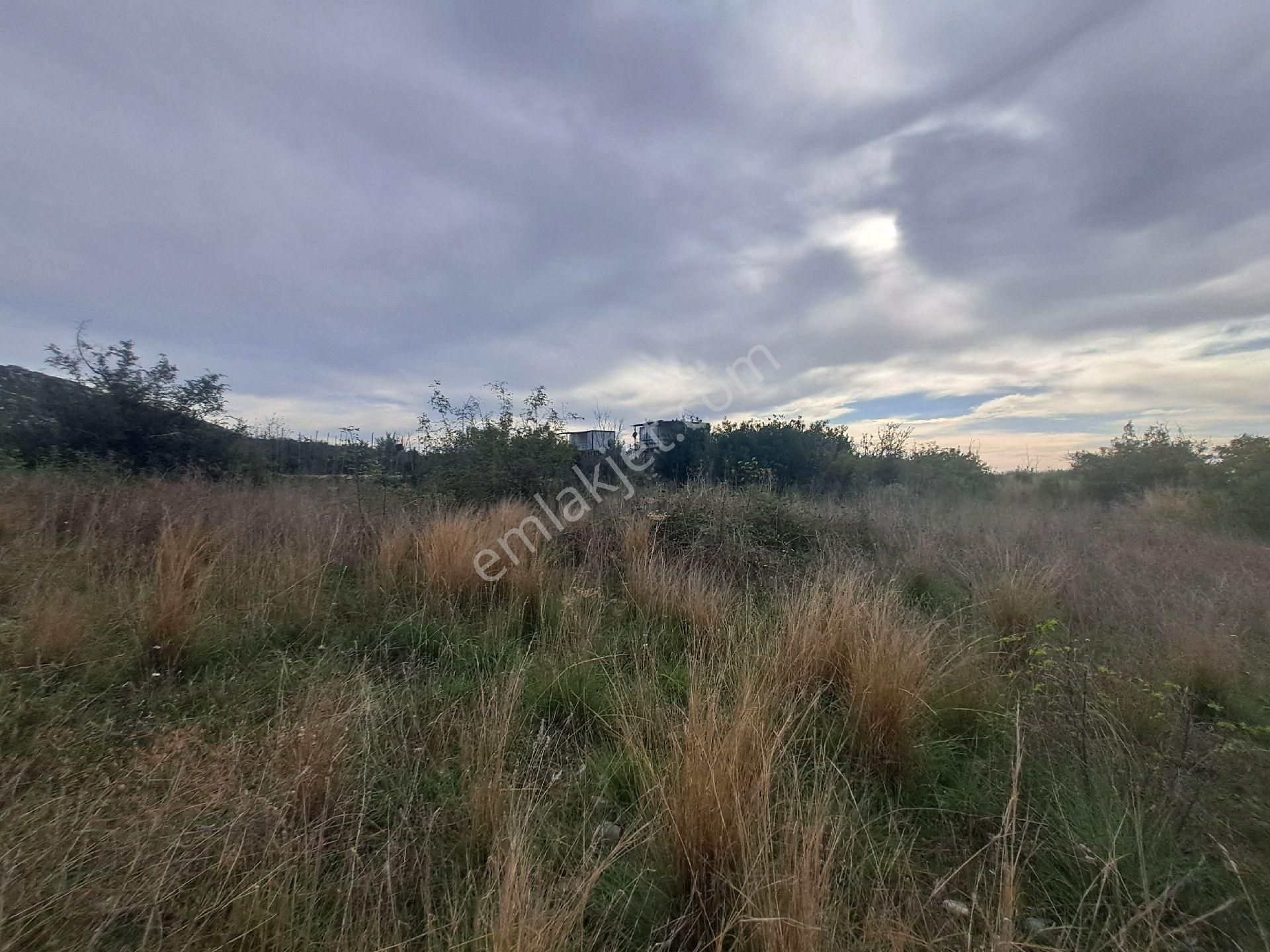 Mana Gat Sırköyü De Satılık Müstakil Tarla - Görsel 6