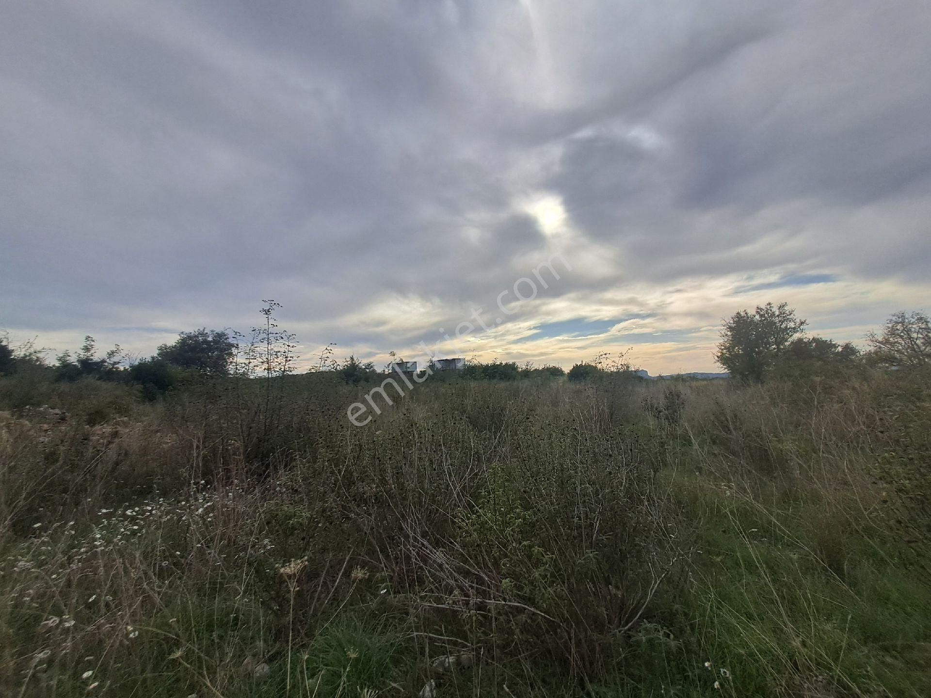 Mana Gat Sırköyü De Satılık Müstakil Tarla - Görsel 7