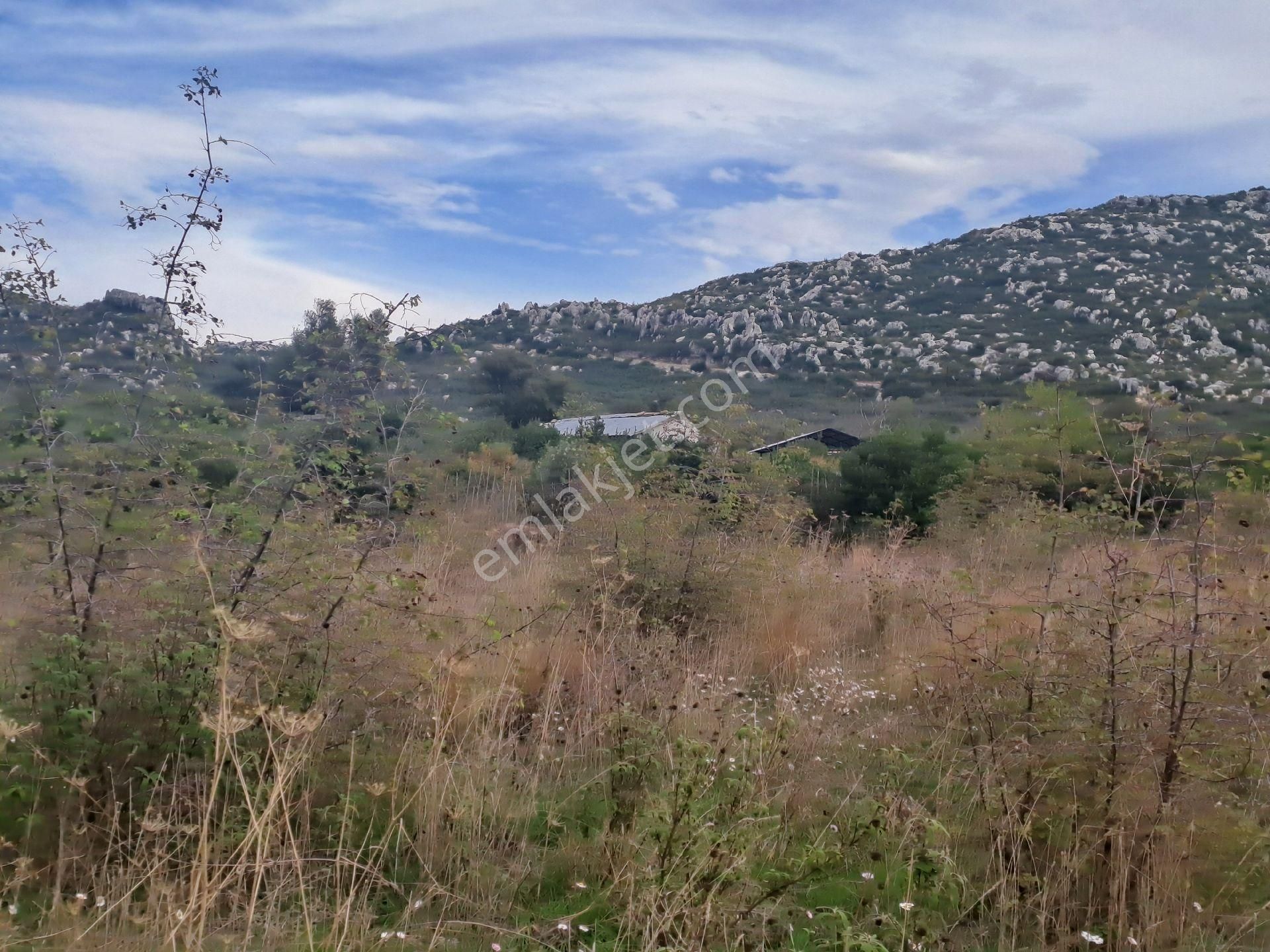 Mana Gat Sırköyü De Satılık Müstakil Tarla - Görsel 24