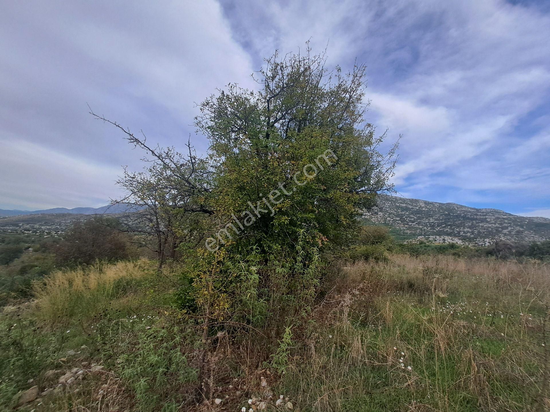 Mana Gat Sırköyü De Satılık Müstakil Tarla - Görsel 26