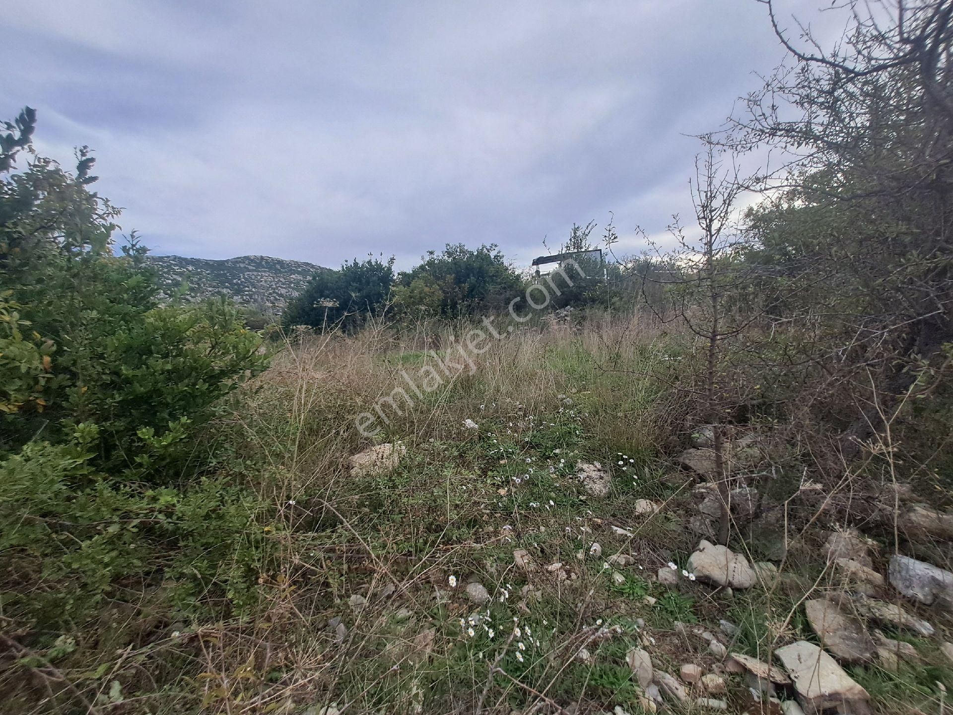 Mana Gat Sırköyü De Satılık Müstakil Tarla - Görsel 10