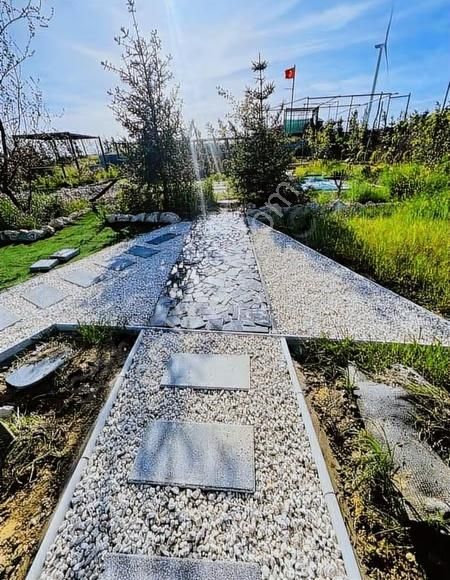 2224 Metre Acil Satılık - Görsel 6