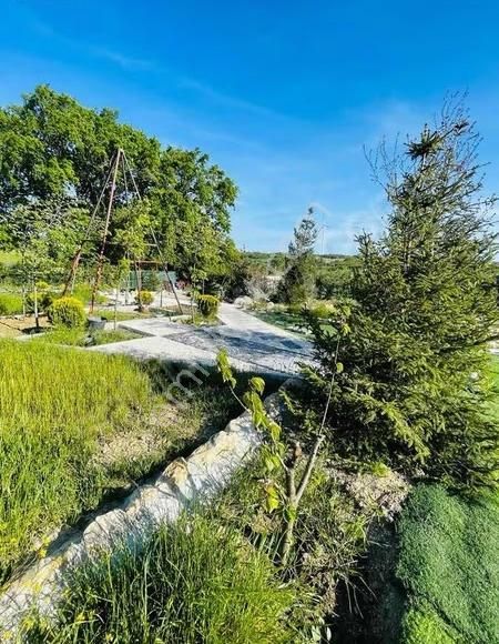 2224 Metre Acil Satılık - Görsel 14