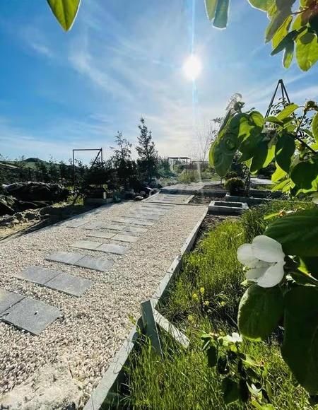 2224 Metre Acil Satılık - Görsel 13