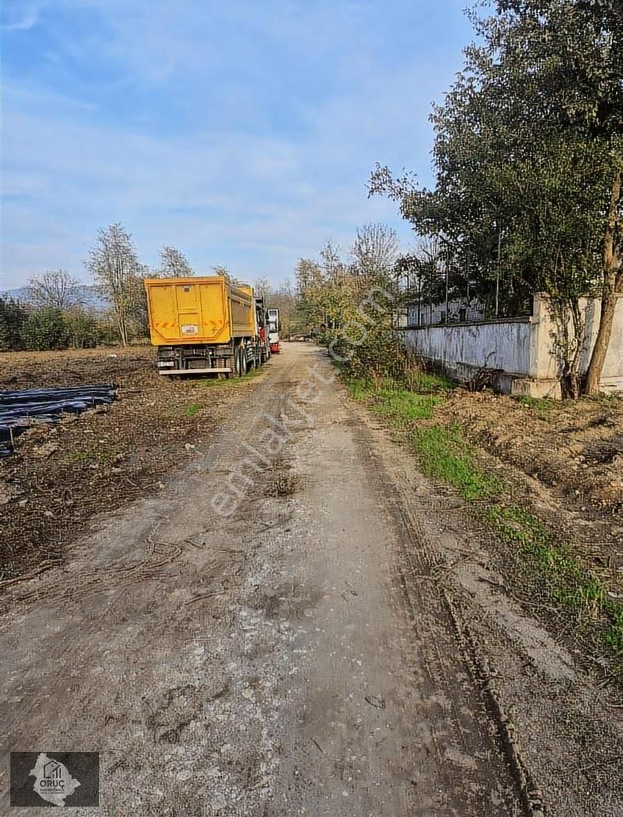 Çitlide Ankara Asfaltına Çok Yakın Yatırım Değeri Yüksek Tarla - Görsel 5