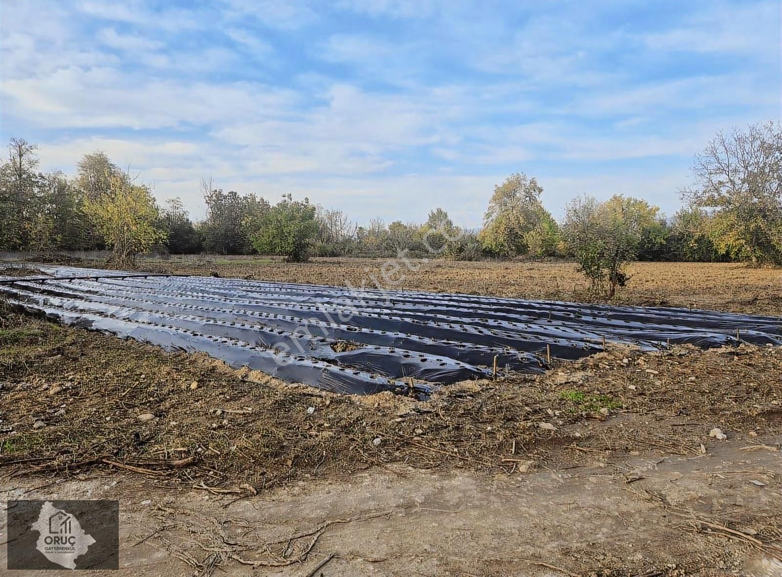 Çitlide Ankara Asfaltına Çok Yakın Yatırım Değeri Yüksek Tarla - Görsel 11