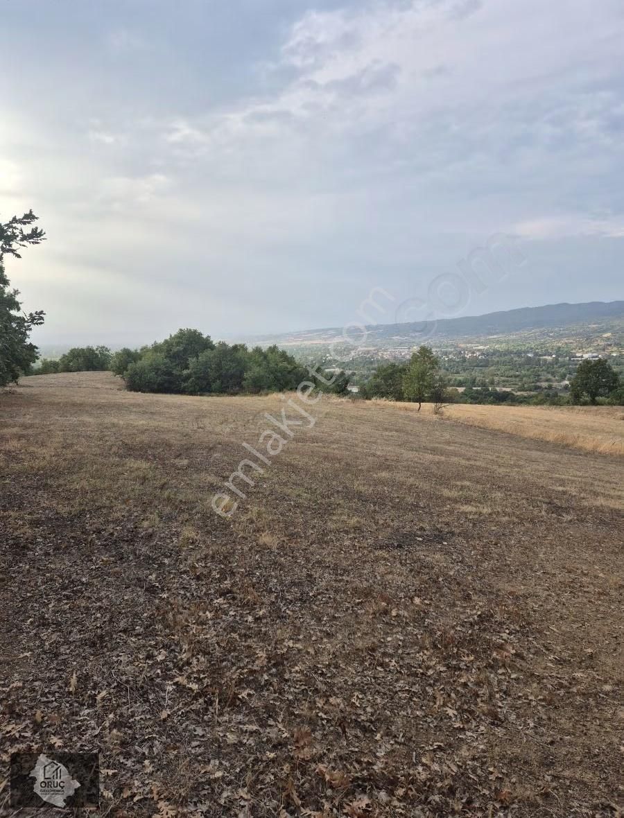 Kurşunluda Yatırımlık Uygun Fiyat Tarla