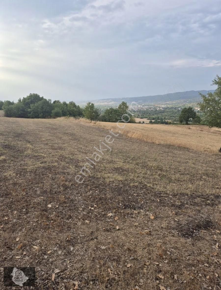 Kurşunluda Yatırımlık Uygun Fiyat Tarla - Görsel 7