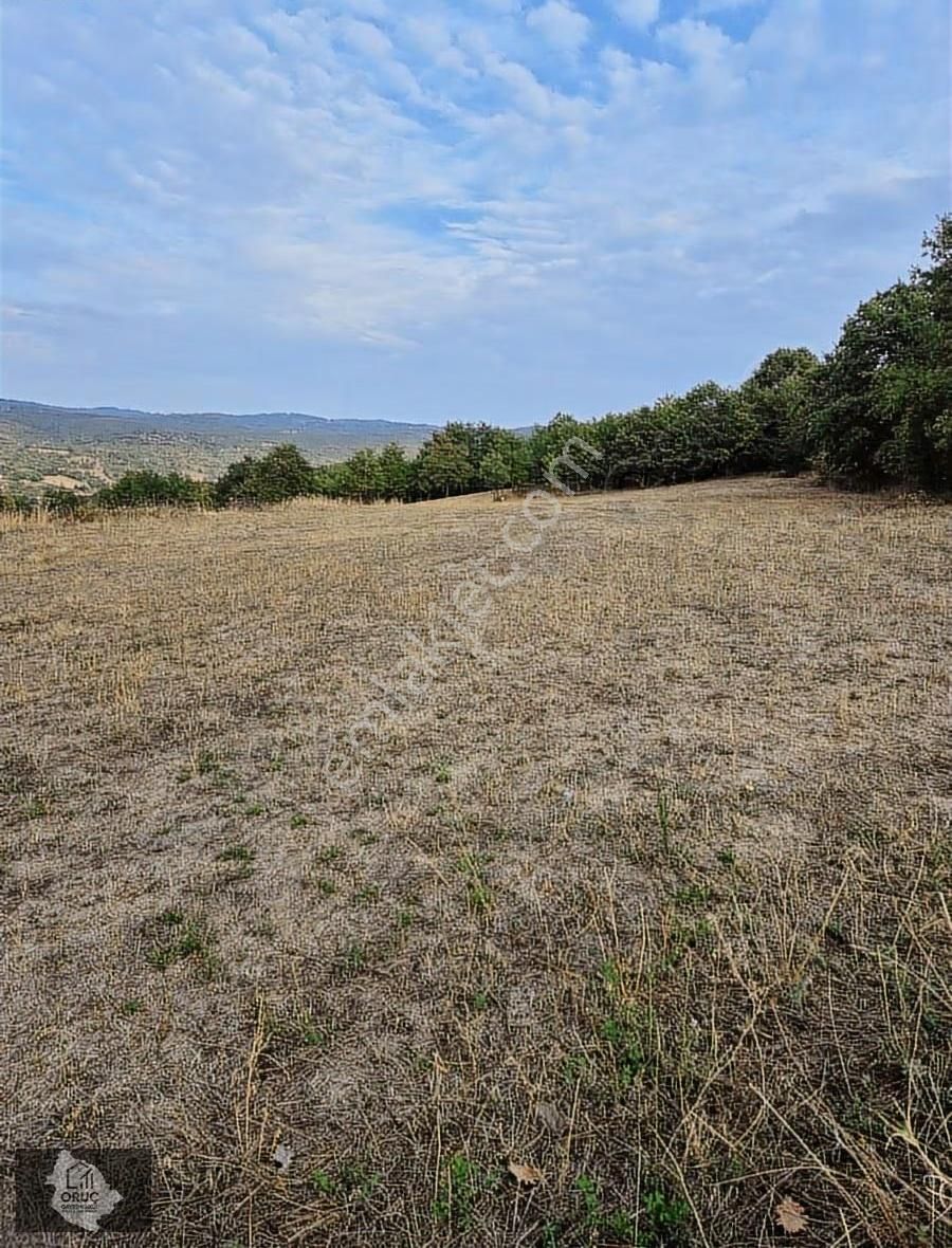 Kurşunluda Yatırımlık Uygun Fiyat Tarla - Görsel 10