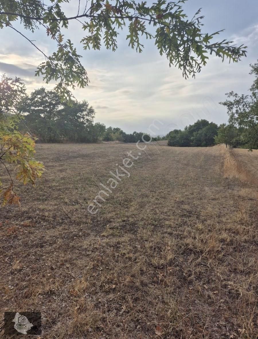 Kurşunluda Yatırımlık Uygun Fiyat Tarla - Görsel 14