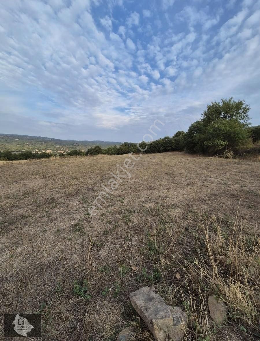 Kurşunluda Yatırımlık Uygun Fiyat Tarla - Görsel 2