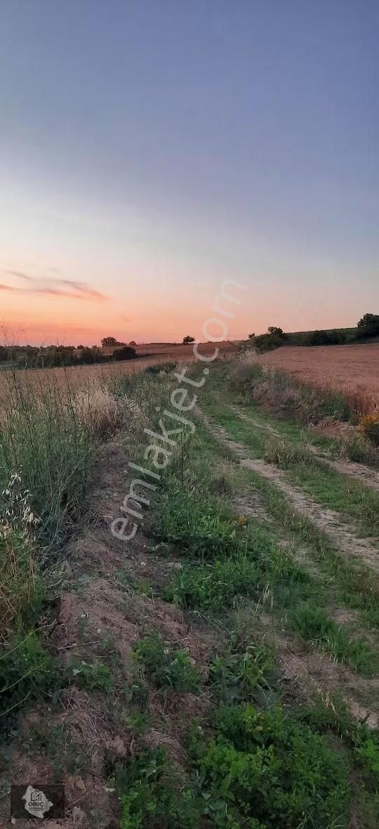 Kulacada İki Proje Arasında Degerli Bir Parsel - Görsel 4