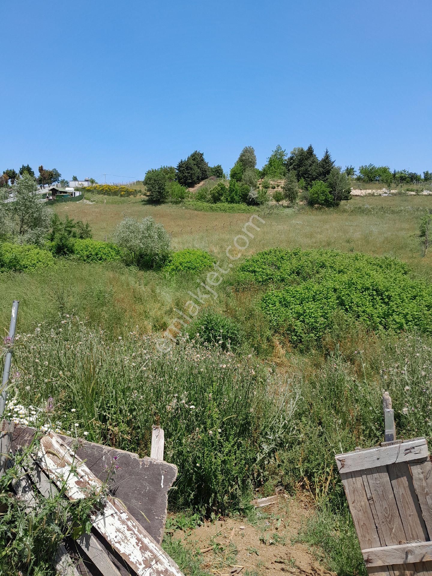 Satılık Hisseli A - Görsel 9