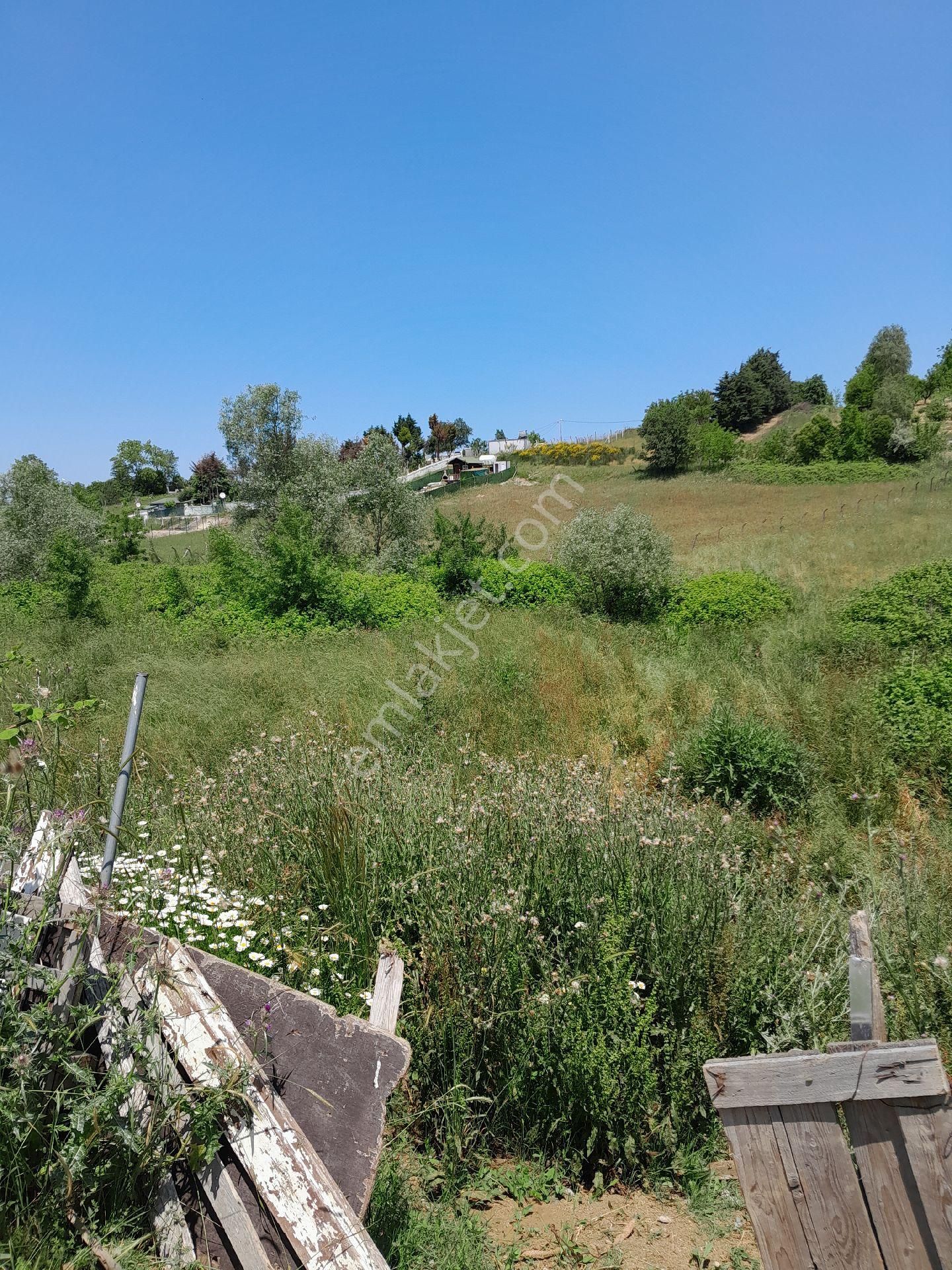 Satılık Hisseli A - Görsel 7