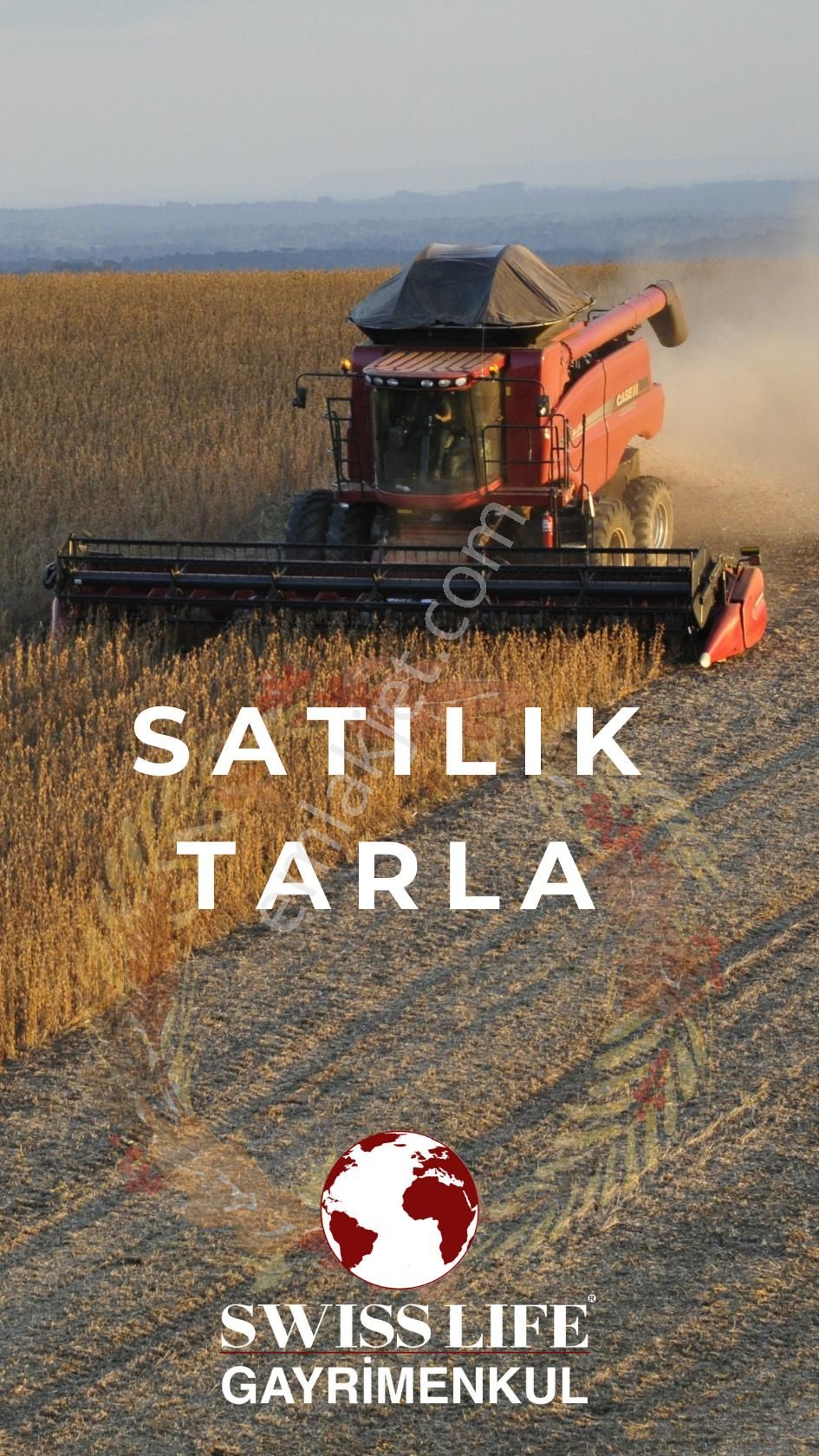 Swıss Lıfe'dan Serinhisar Yüreğil' De 3062 M² Satılık Tarla