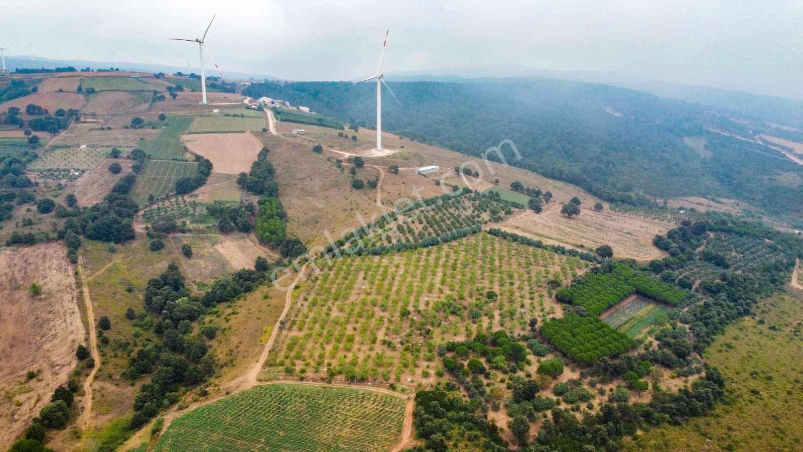 Yarış'da Yatırımlık "göl Manzaralı" Ceviz-badem Ağaçlı Tarla - Görsel 13
