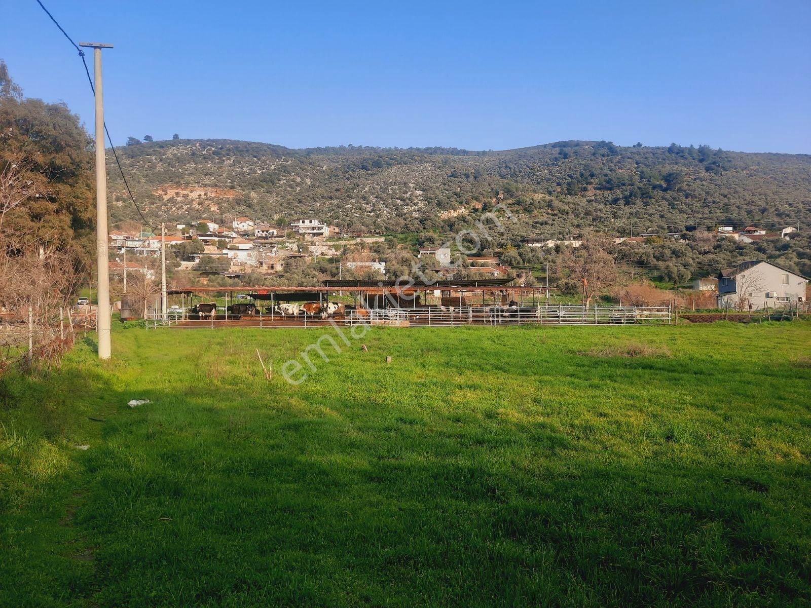 Bodrum Muğla Yolu Uzerı Savran Köyünde 3100m² Köy İçi Tarla