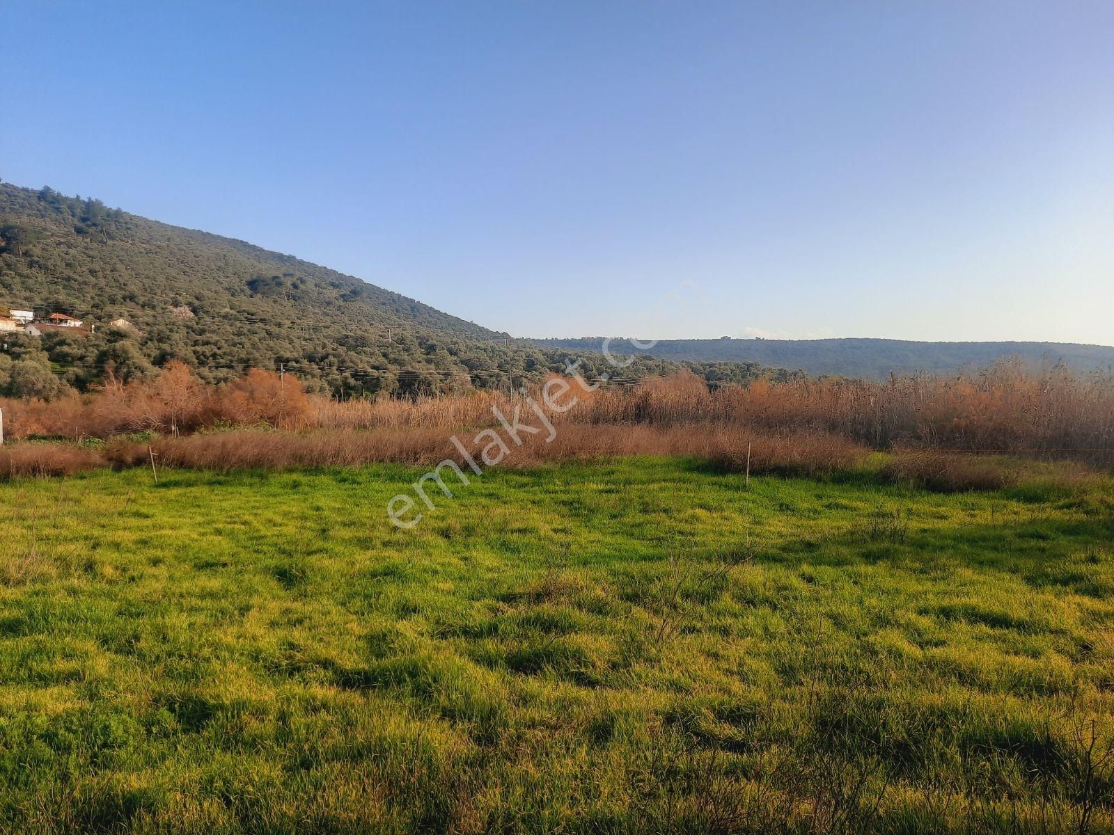 Bodrum Muğla Yolu Uzerı Savran Köyünde 3100m² Köy İçi Tarla - Görsel 7