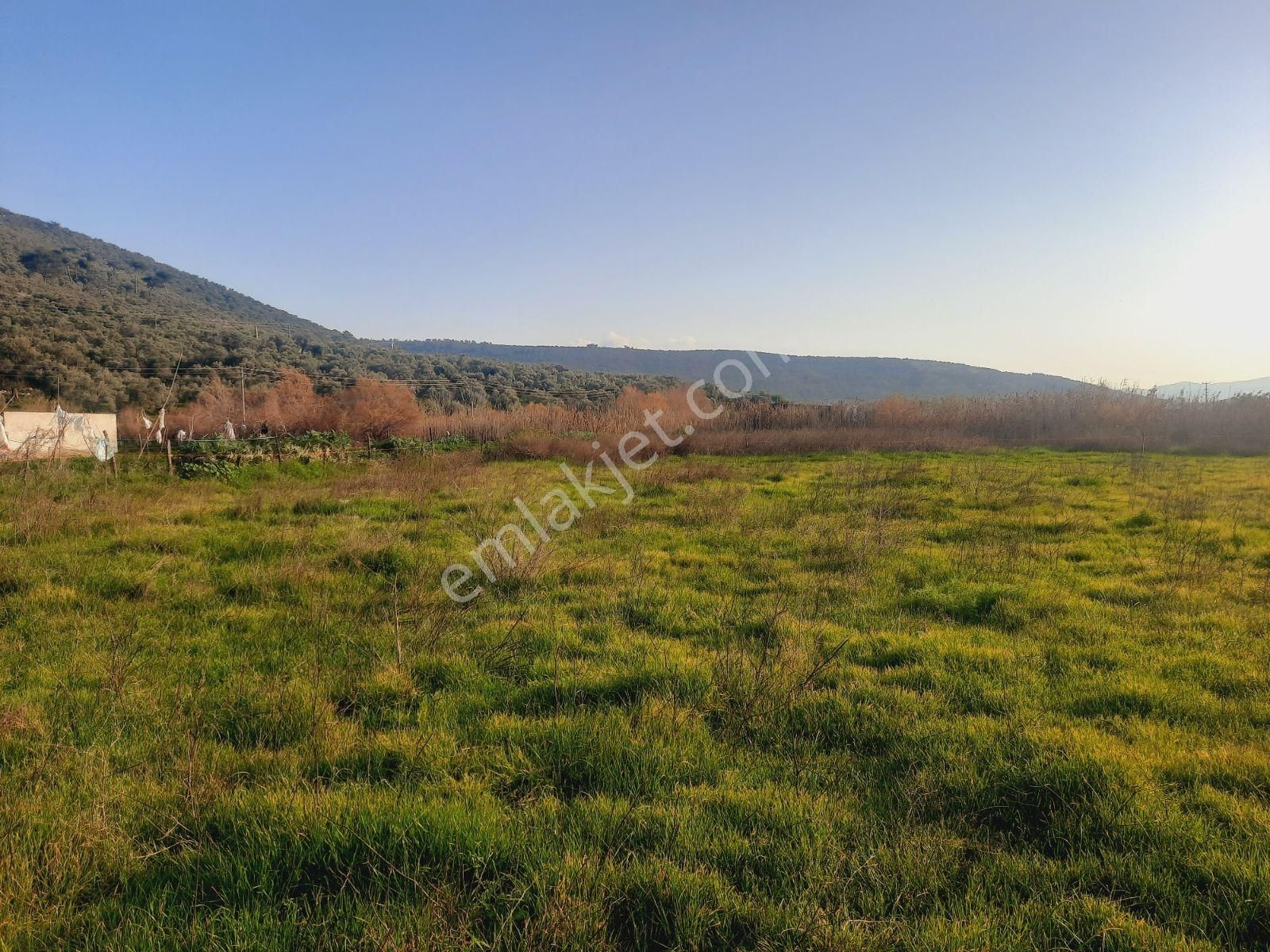 Bodrum Muğla Yolu Uzerı Savran Köyünde 3100m² Köy İçi Tarla - Görsel 22
