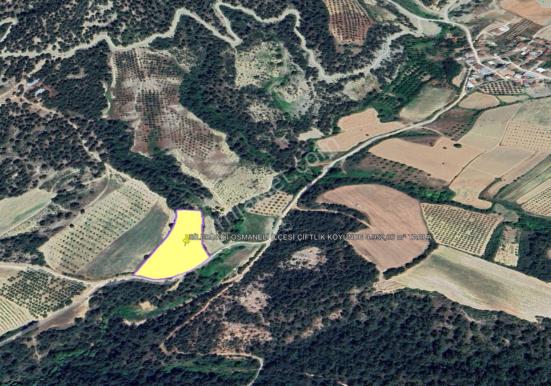 Bilecik İli Osmaneli İlçesi Çiftlik Köyünde 4.952,00 M² Tarla - Görsel 3