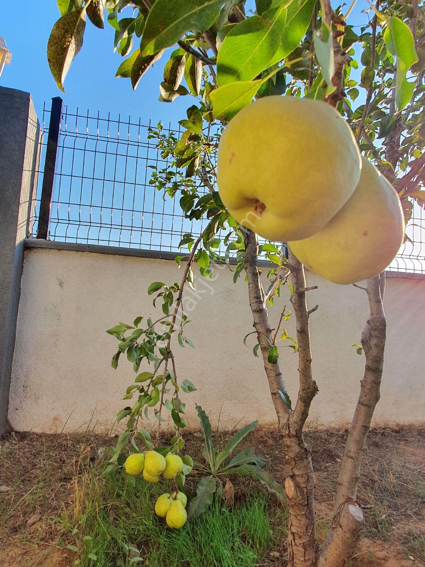 Muğla Akçaova - Görsel 29