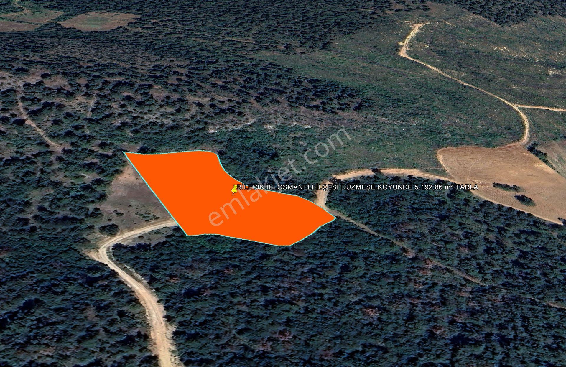 Bilecik İli Osmaneli İlçesi Düzmeşe Köyünde 5.192,86 M² Tarla - Görsel 3