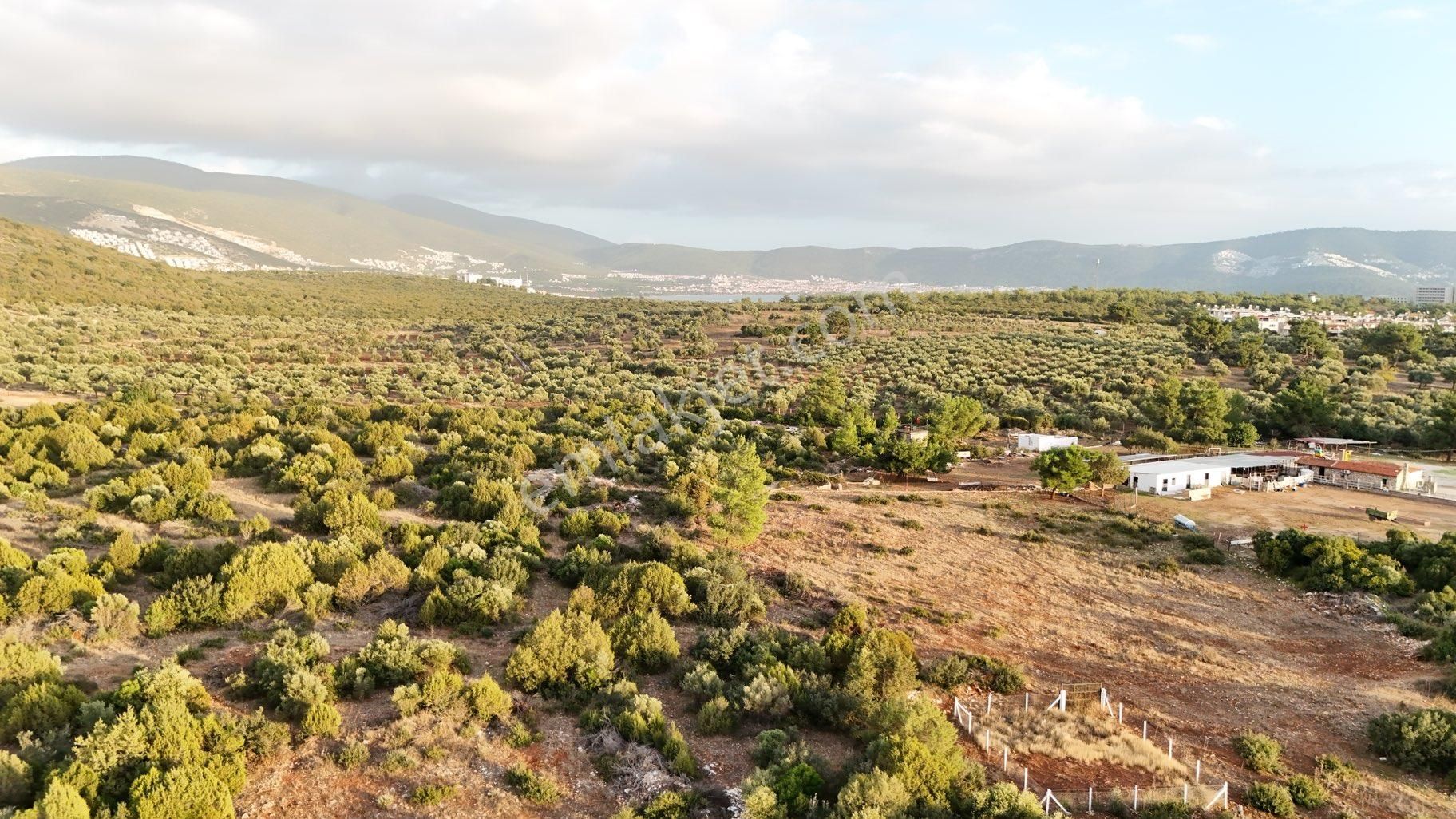 Didim Fevzipaşa Da Satılık Müstakil Arsa - Görsel 12