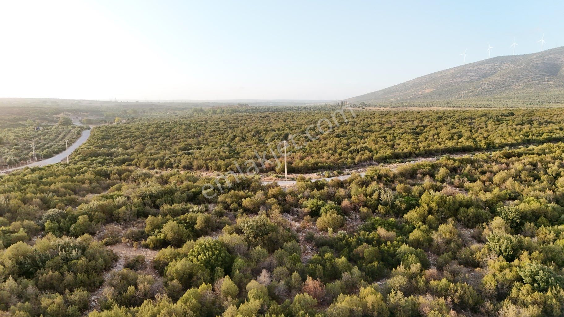 Didim Fevzipaşa Da Satılık Müstakil Arsa - Görsel 2