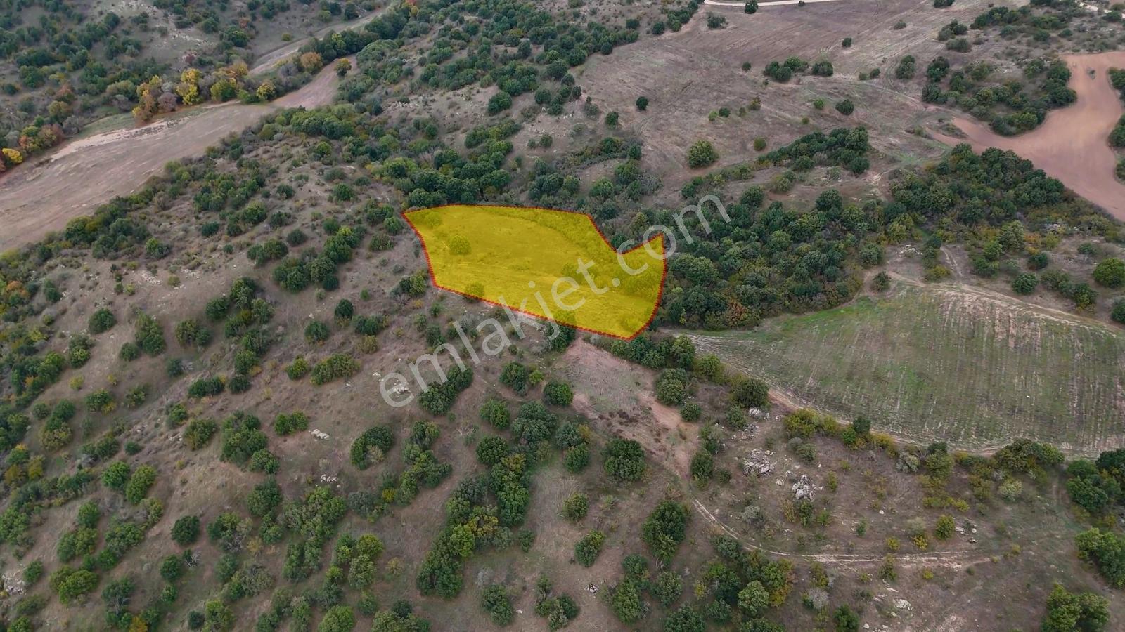 Kırklareli Merkez'de 5400 M² Müstakil Tek Tapu Kelepir Tarla !!! - Görsel 5