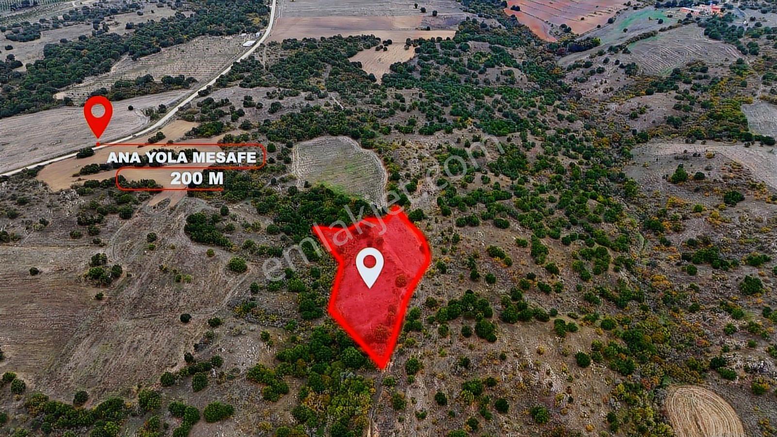 Kırklareli Merkez'de 5400 M² Müstakil Tek Tapu Kelepir Tarla !!! - Görsel 7