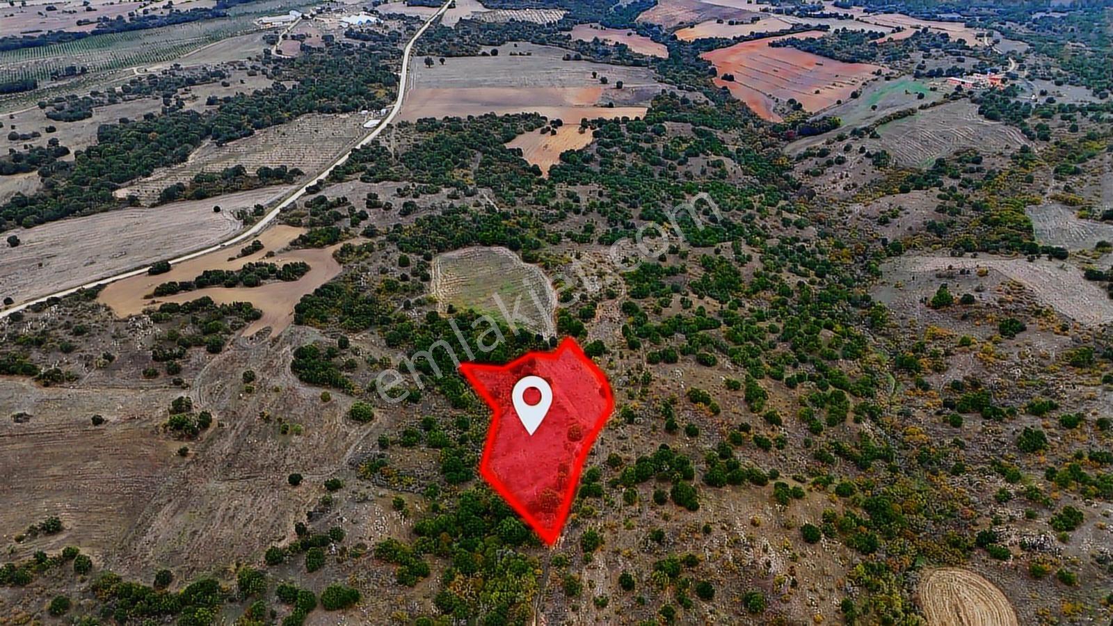 Kırklareli Merkez'de 5400 M² Müstakil Tek Tapu Kelepir Tarla !!! - Görsel 6