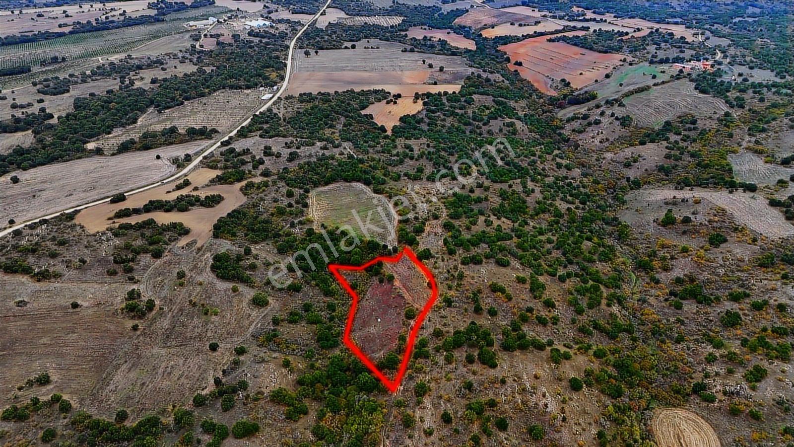 Kırklareli Merkez'de 5400 M² Müstakil Tek Tapu Kelepir Tarla !!! - Görsel 9