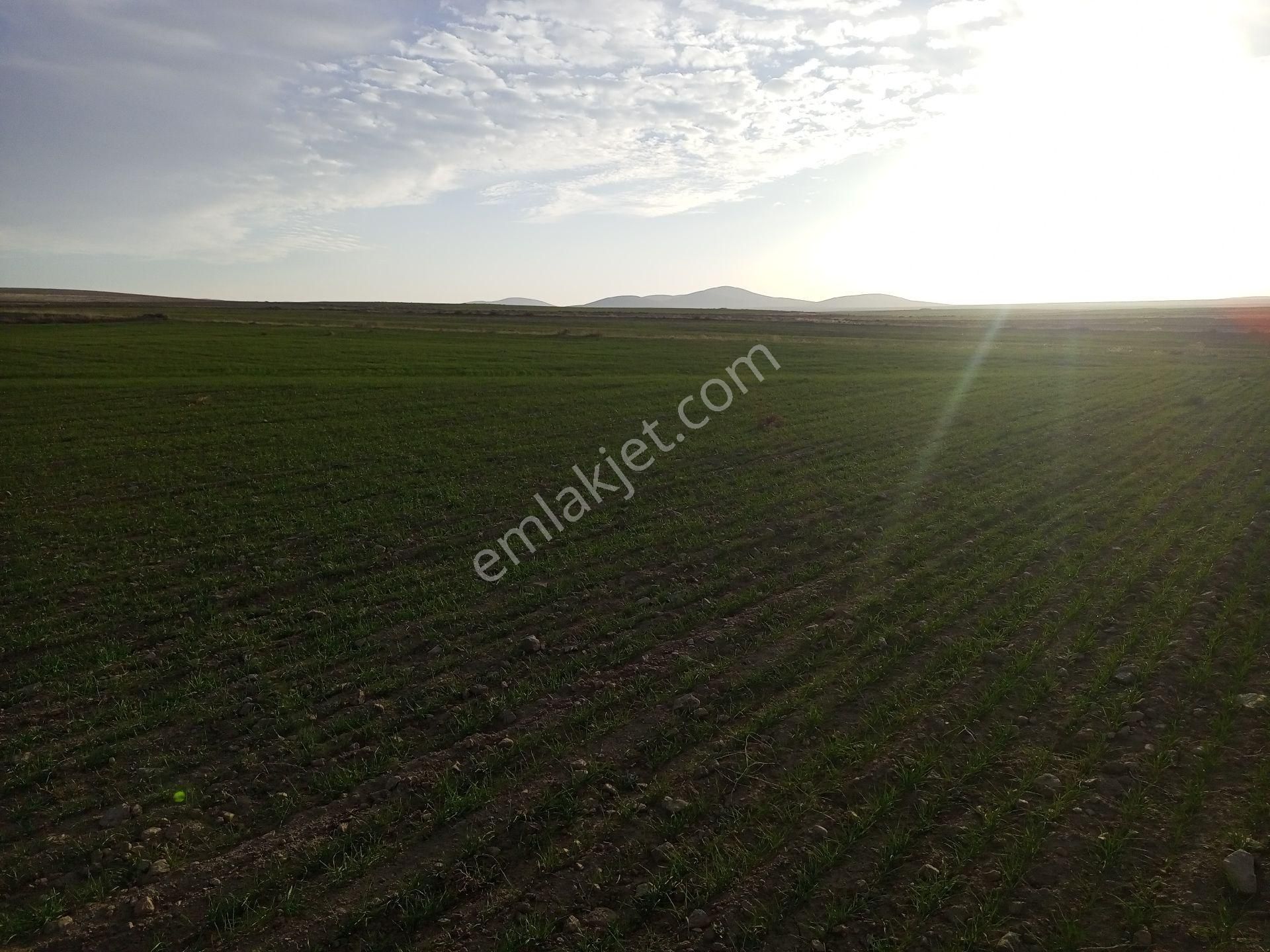 Afyonkarahisar Sultandağı Yenikarabag Köyü 6400 Arsa - Görsel 26