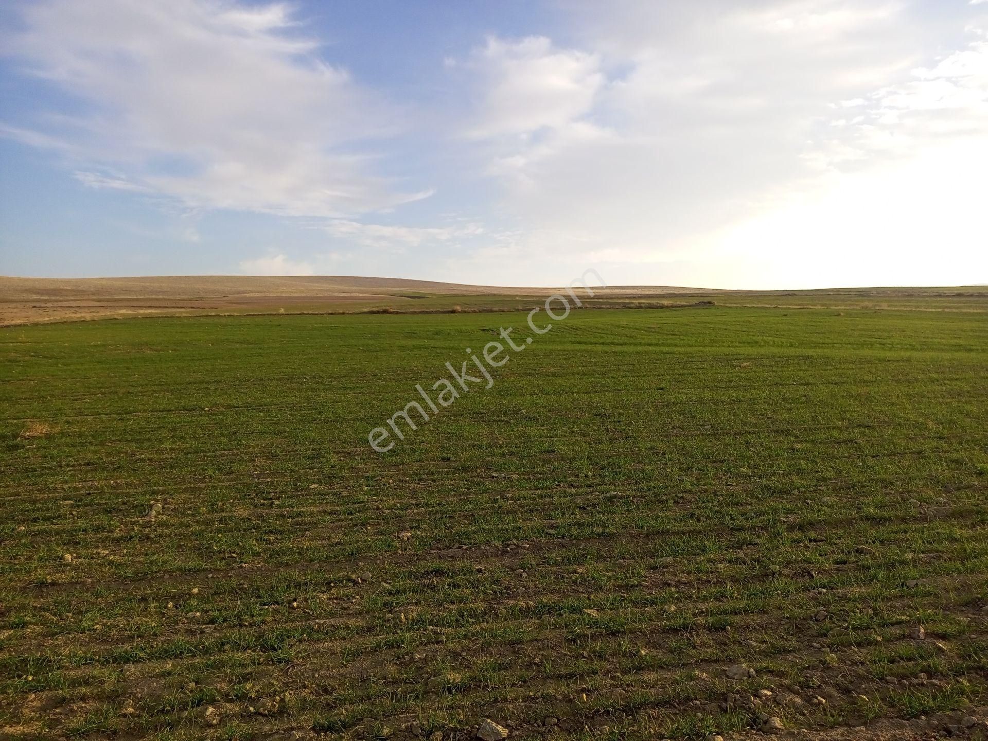 Afyonkarahisar Sultandağı Yenikarabag Köyü 6400 Arsa - Görsel 28