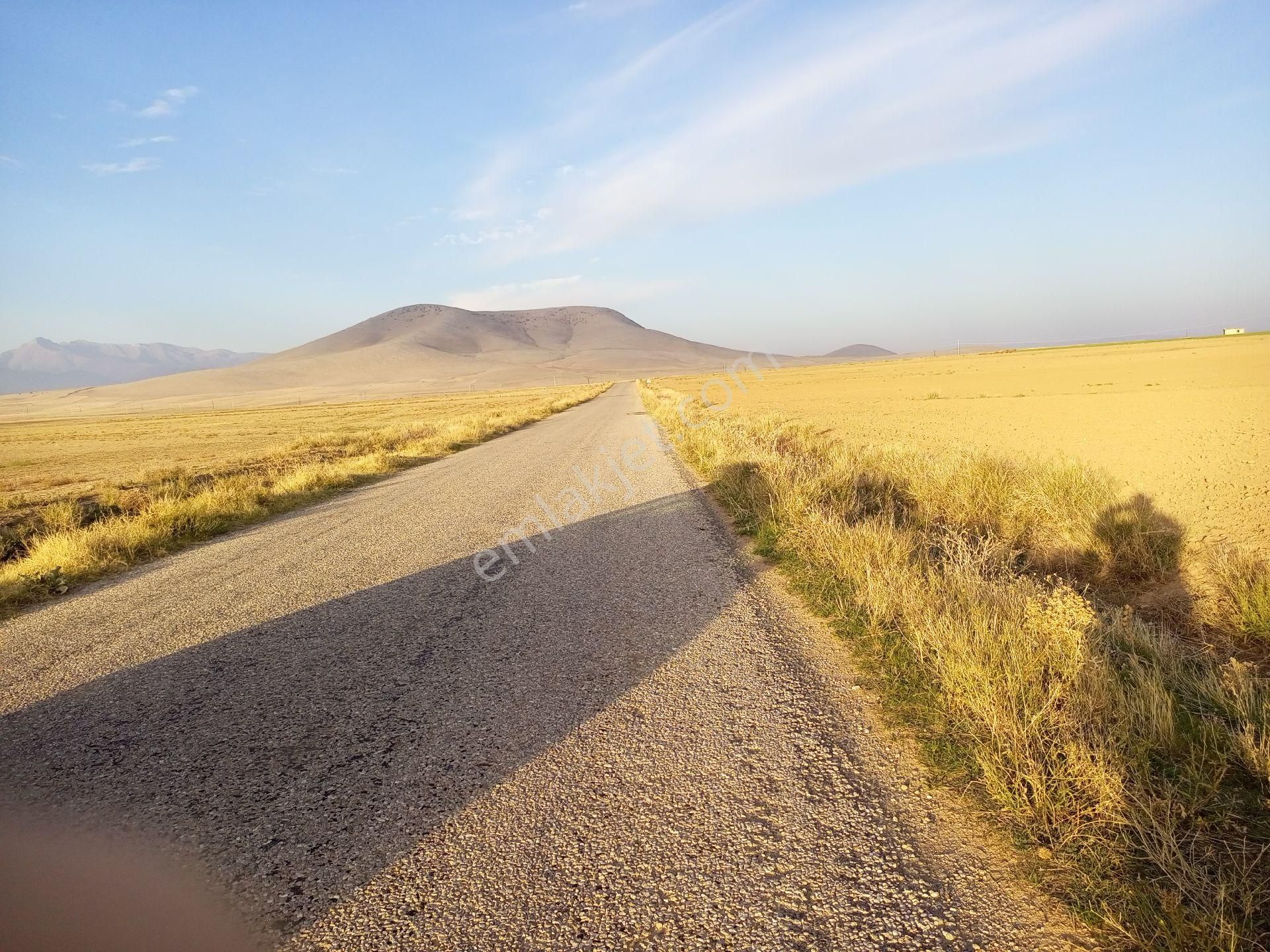 Afyonkarahisar Sultandağı Yenikarabag Köyü 6400 Arsa - Görsel 33