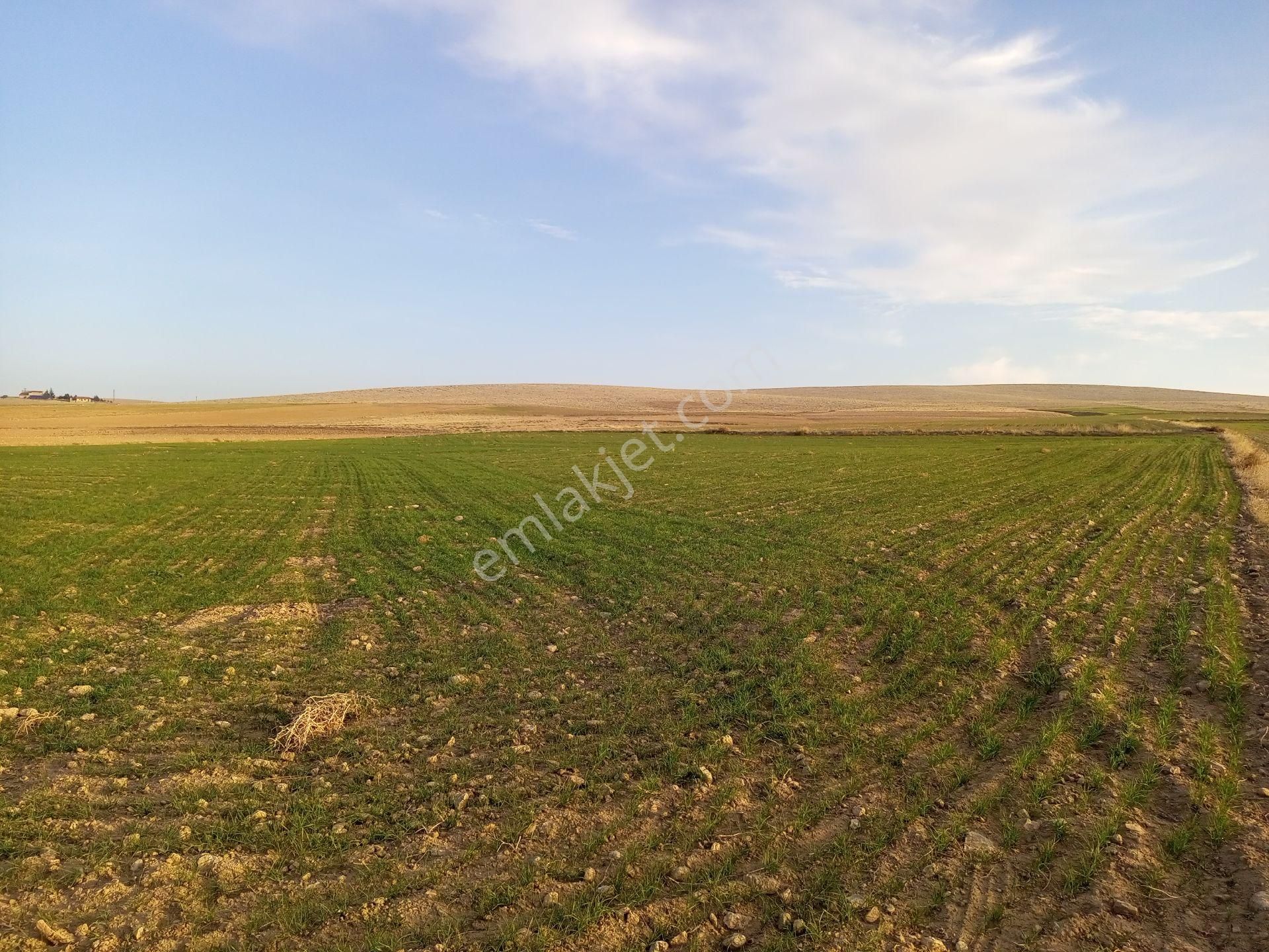 Afyonkarahisar Sultandağı Yenikarabag Köyü 6400 Arsa - Görsel 17