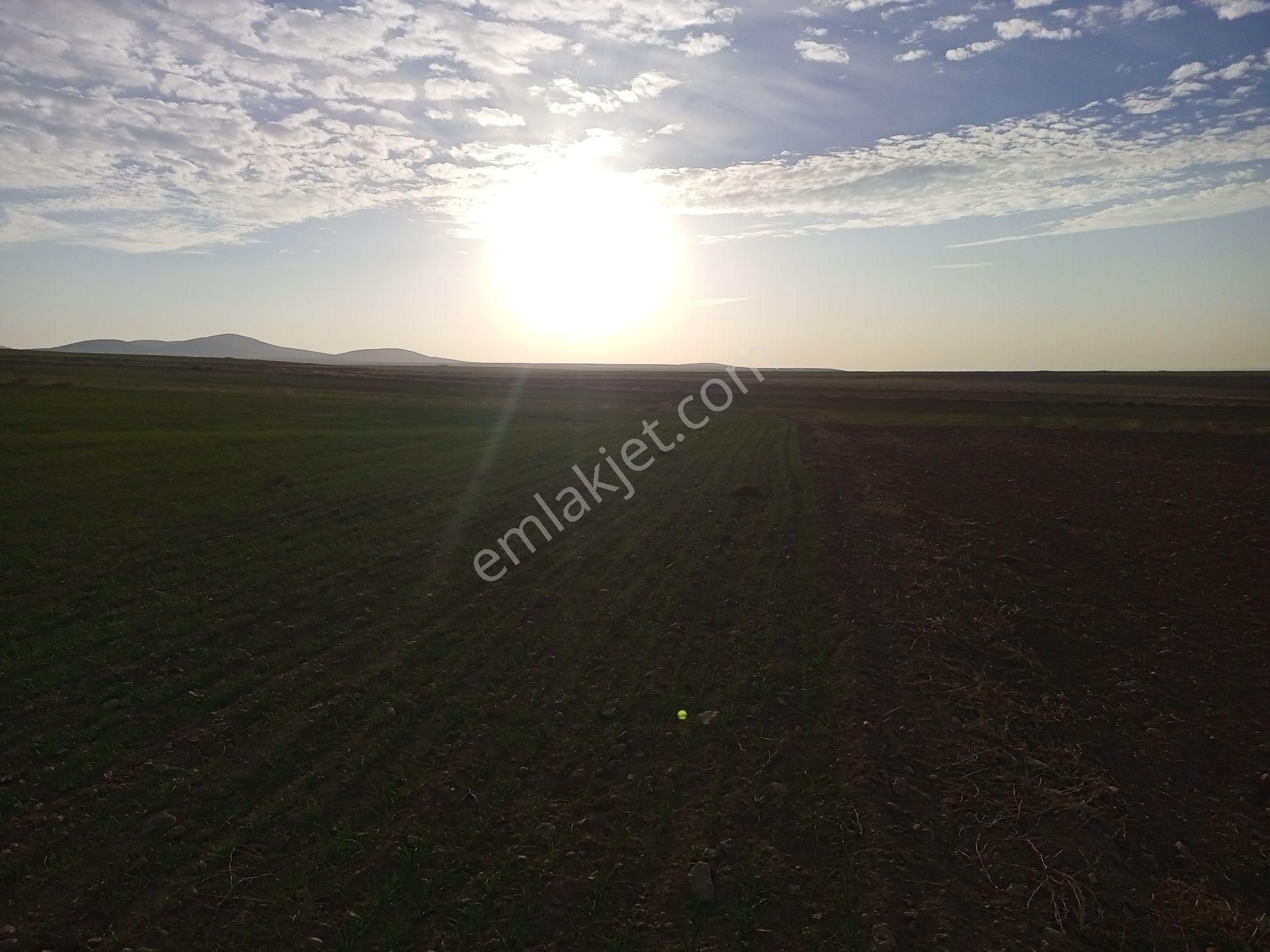 Afyonkarahisar Sultandağı Yenikarabag Köyü 6400 Arsa - Görsel 27