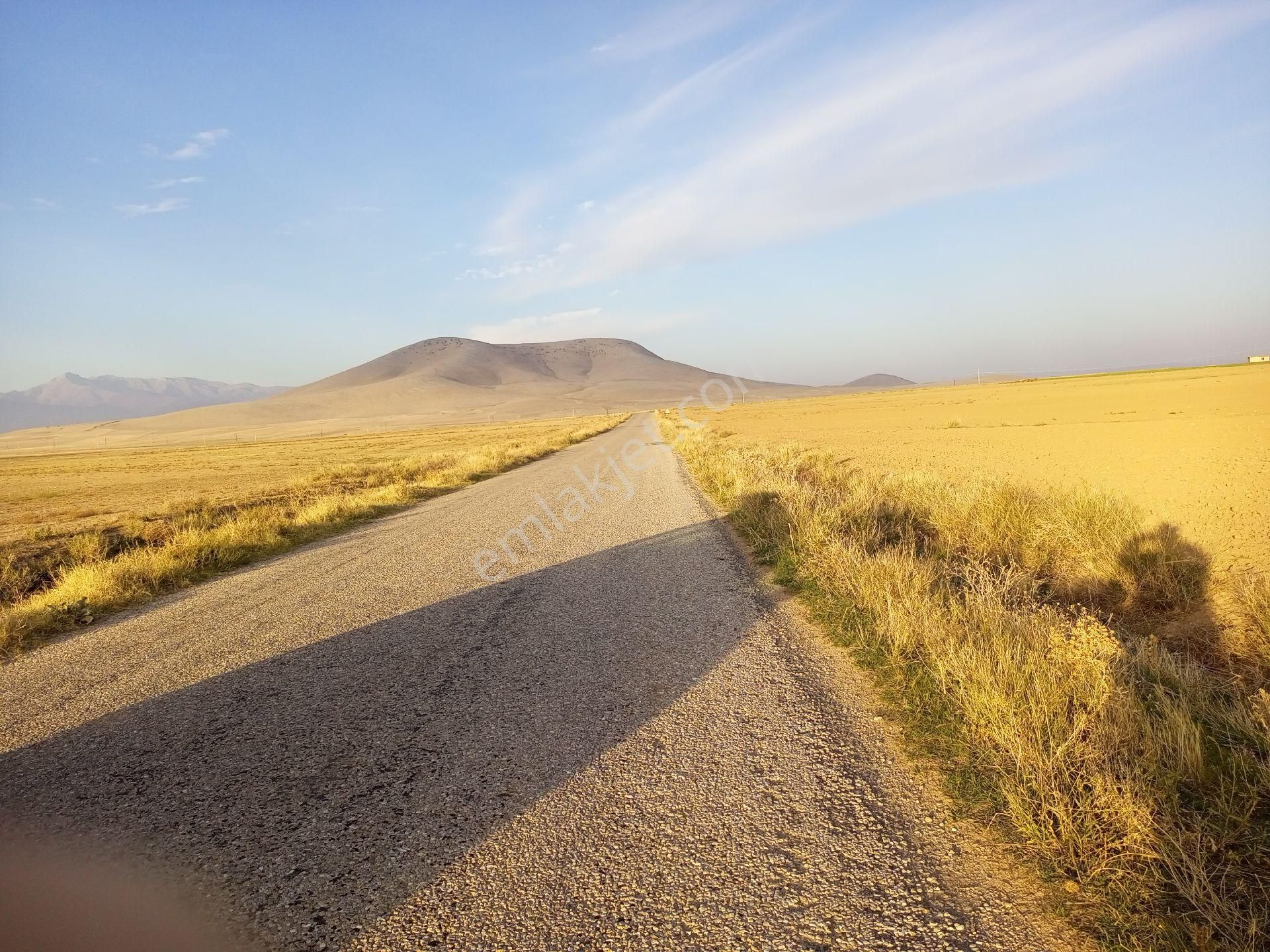 Afyonkarahisar Sultandağı Yenikarabag Köyü 6400 Arsa - Görsel 34