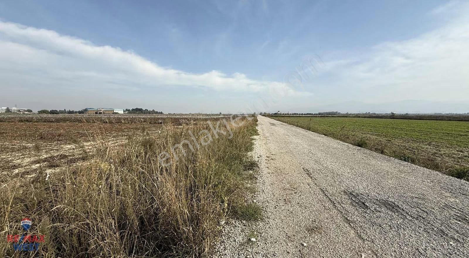 İzmir Menemen Seyrek Te Kadastral Yola Cepheli Satılık Tarla - Görsel 15