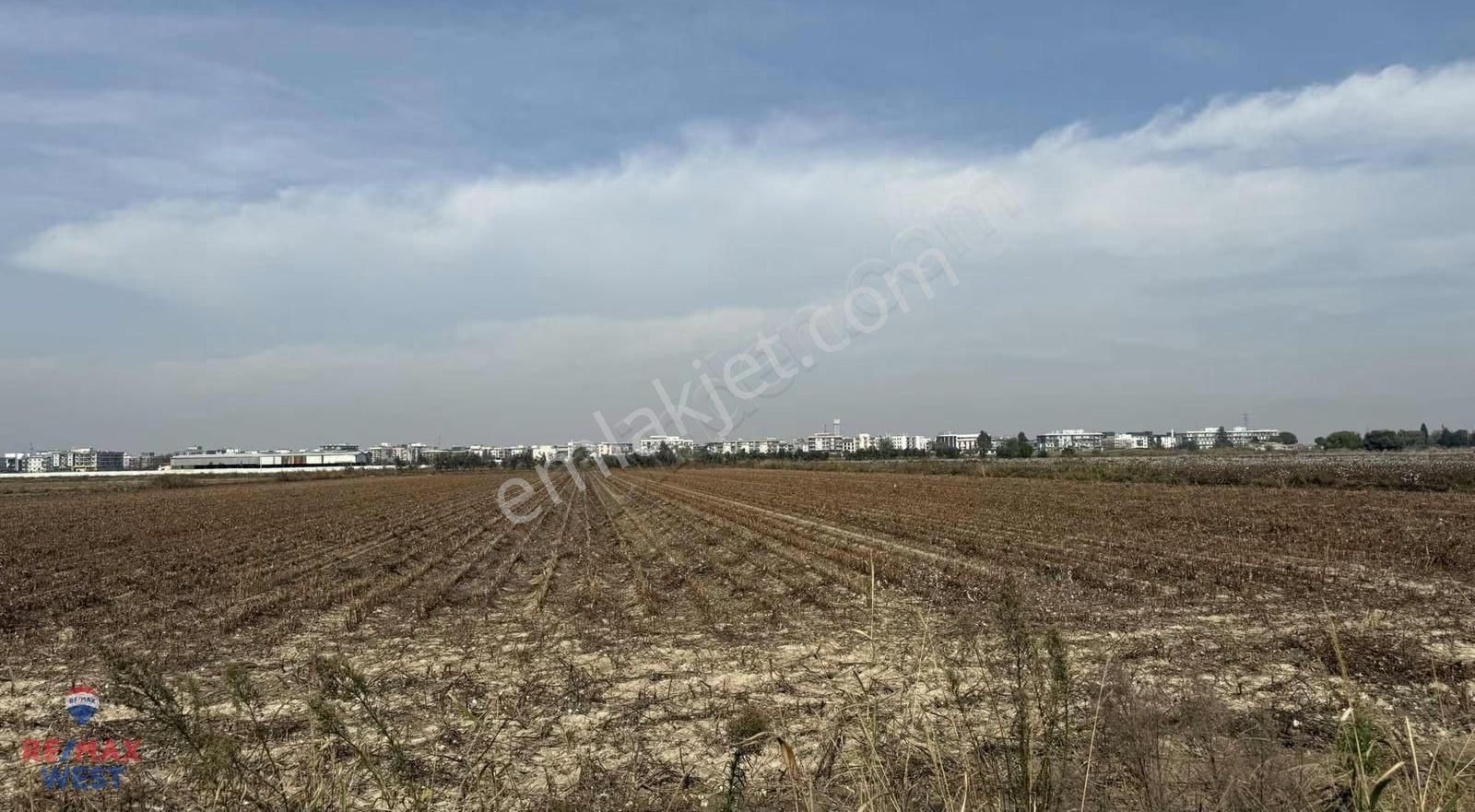 İzmir Menemen Seyrek Te Kadastral Yola Cepheli Satılık Tarla - Görsel 8