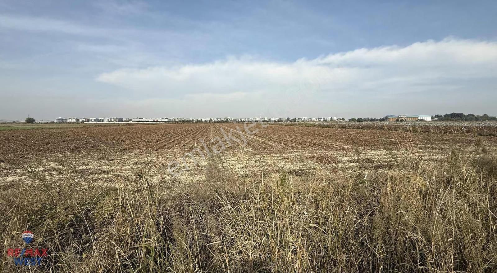 İzmir Menemen Seyrek Te Kadastral Yola Cepheli Satılık Tarla - Görsel 4