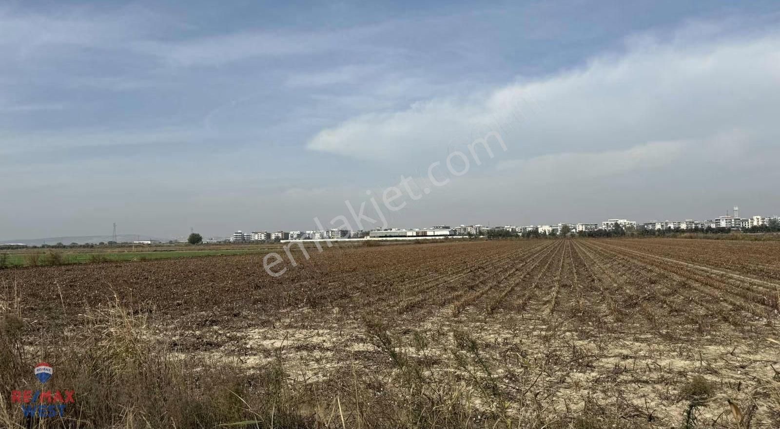 İzmir Menemen Seyrek Te Kadastral Yola Cepheli Satılık Tarla - Görsel 7