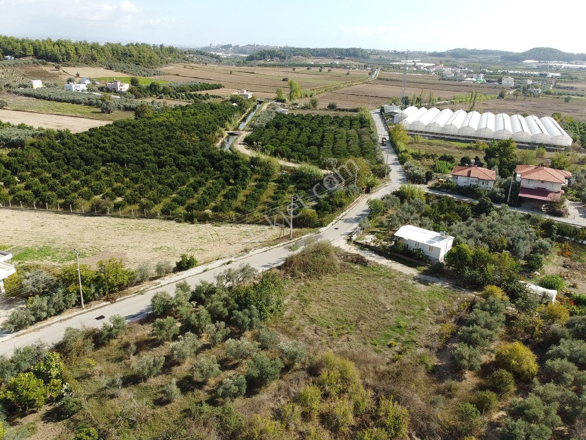 Manavgat Yeniköy'de - Görsel 4