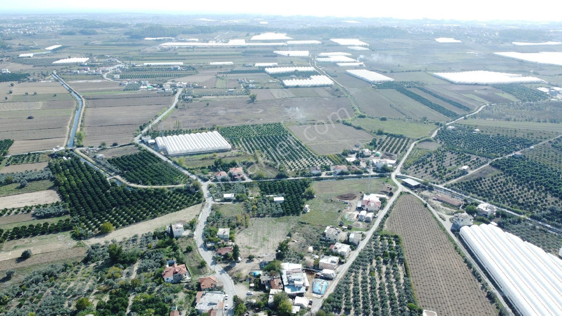 Manavgat Yeniköy'de - Görsel 5