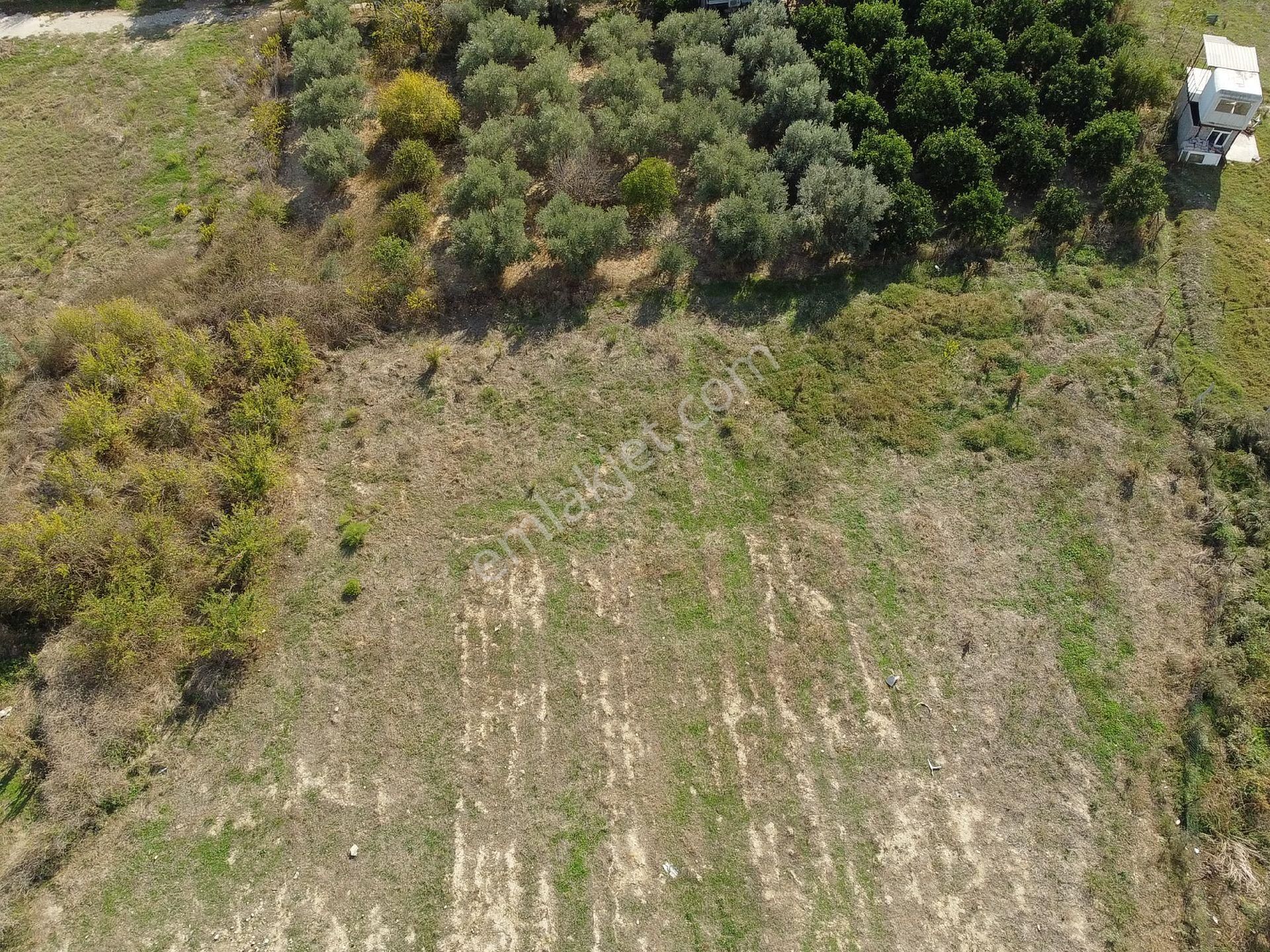 Manavgat Yeniköy'de - Görsel 3