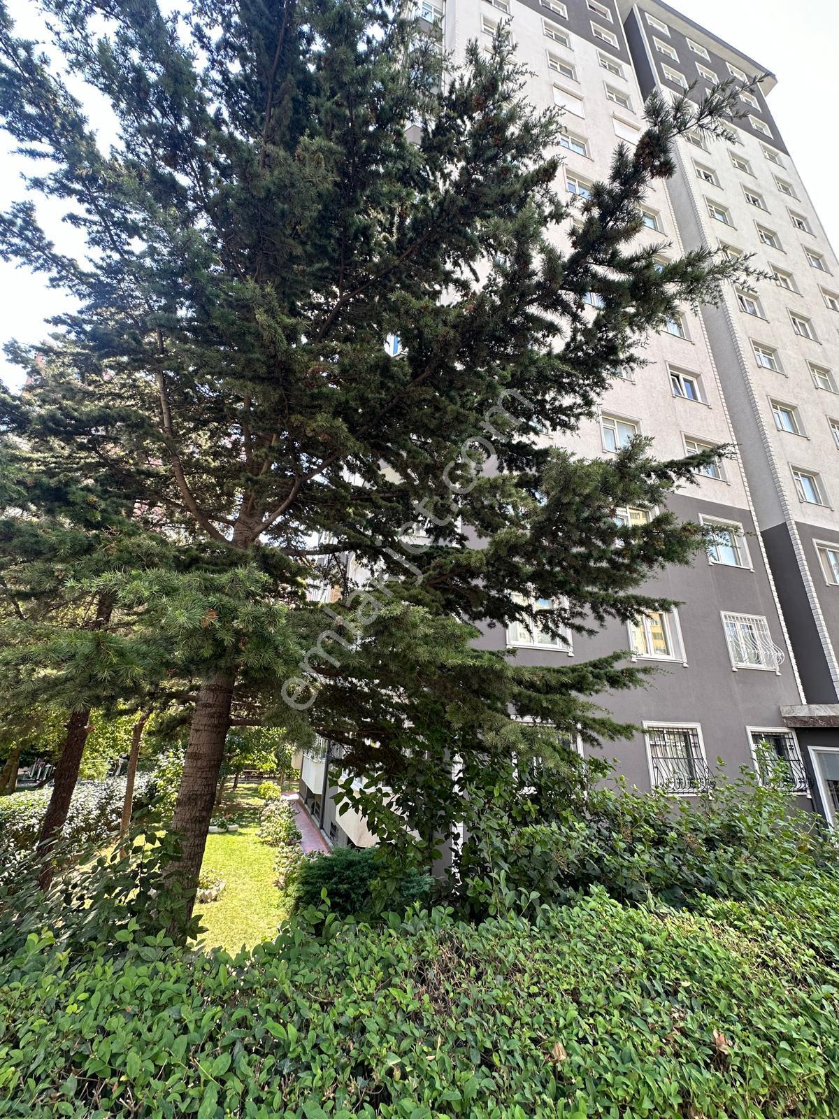 Alyans Life İnşaat'tan Emsalsiz Büyüklükte Ultra Lüks Daire - Görsel 6