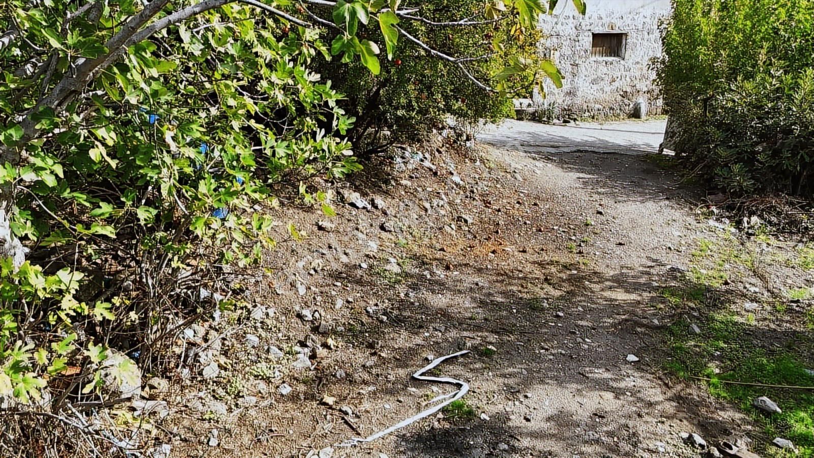 Bergama Karalar Köyünde Merkezde Köyiçi Arsa - Görsel 20