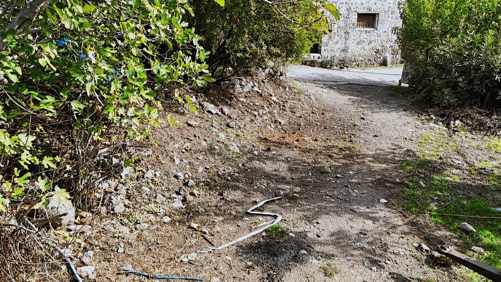 Bergama Karalar Köyünde Merkezde Köyiçi Arsa - Görsel 16